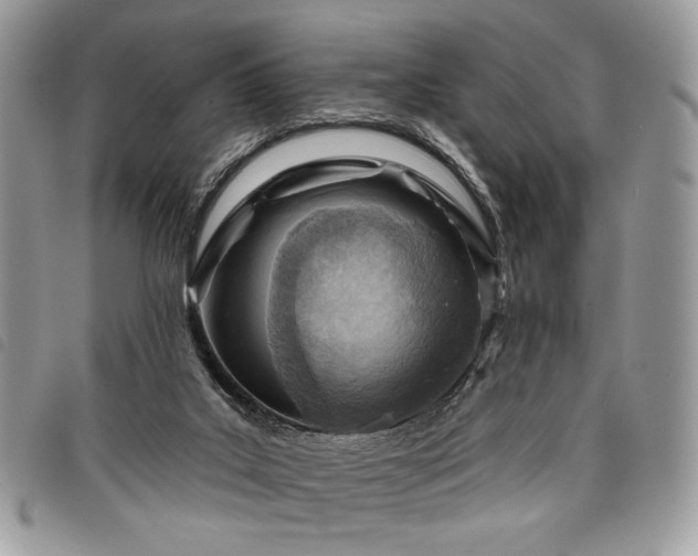 X0000098030019200804071427