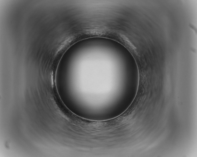 X0000098030020200804071427