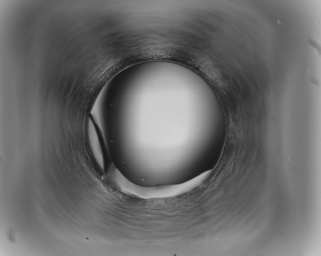 X0000098030021200804071427