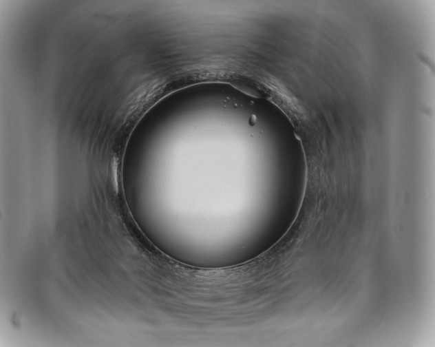 X0000098030022200804071427