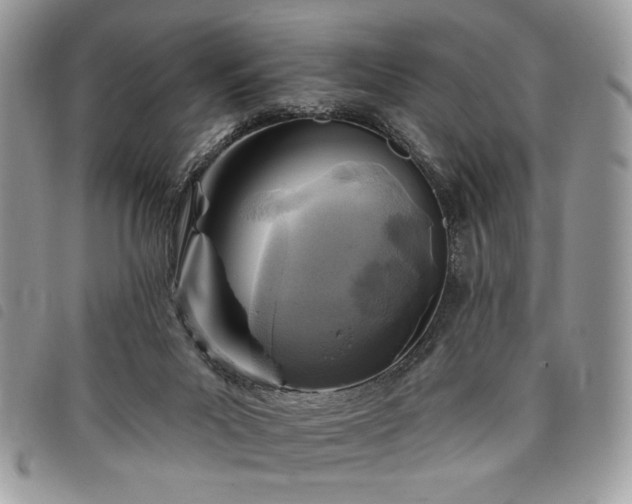 X0000098030023200804071427