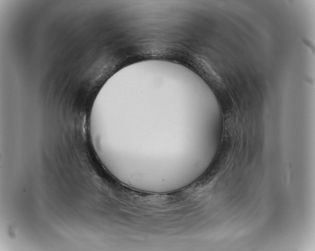 X0000098030024200804071427