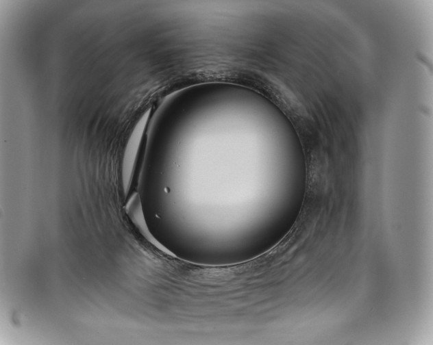 X0000098030025200804071427