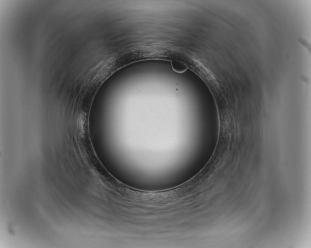 X0000098030026200804071427