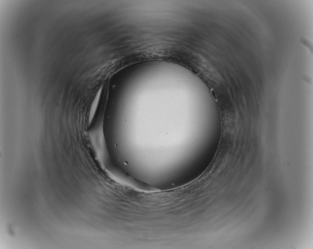 X0000098030029200804071427