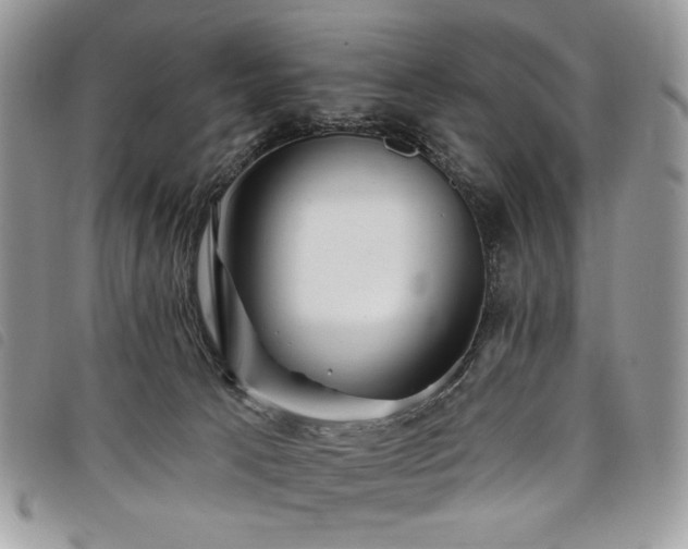 X0000098030033200804071427