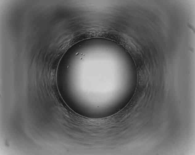 X0000098030034200804071427