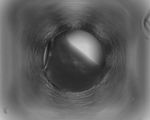 X0000098030039200804071427