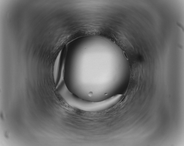 X0000098030041200804071427