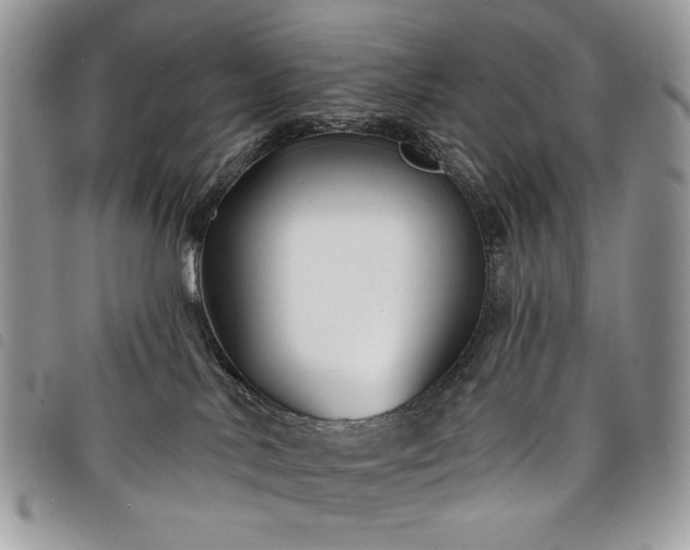 X0000098030042200804071427