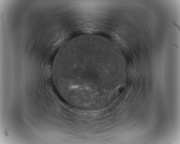 X0000098030043200804071427