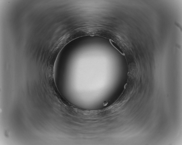 X0000098030044200804071427