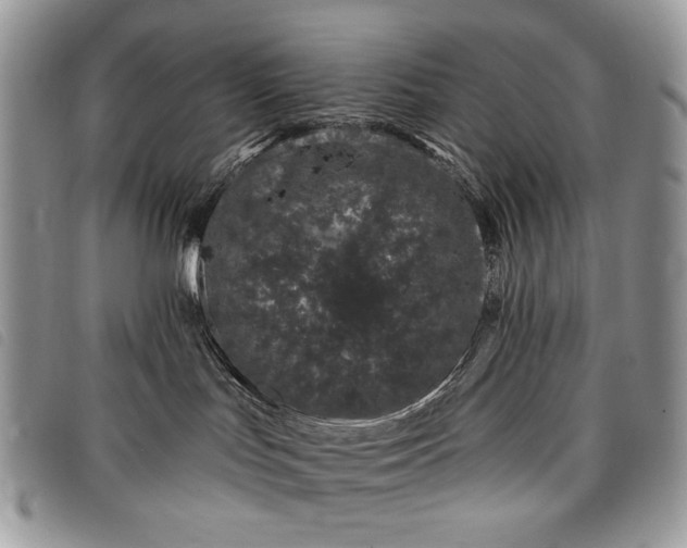 X0000098030047200804071427