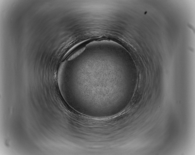 X0000098030048200804071427