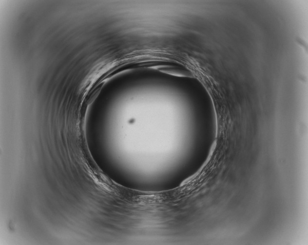 X0000098030050200804071426