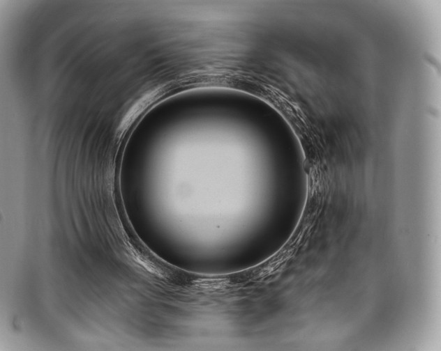 X0000098030051200804071426