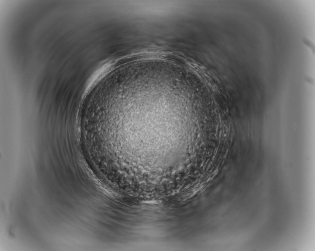 X0000098030053200804071426