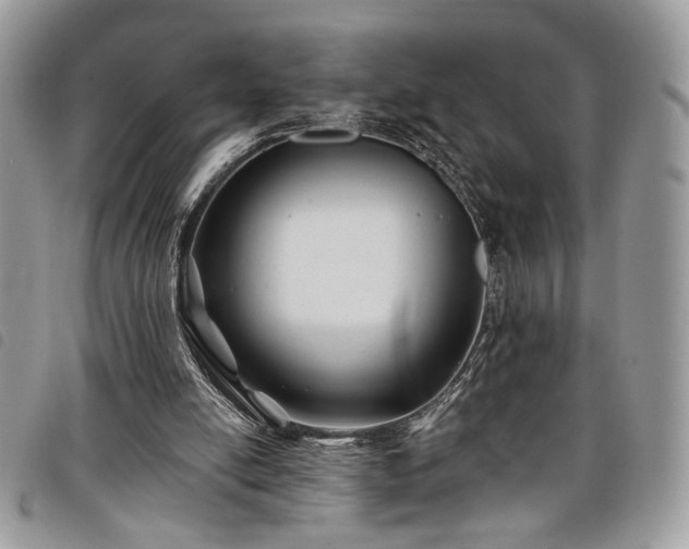 X0000098030054200804071426