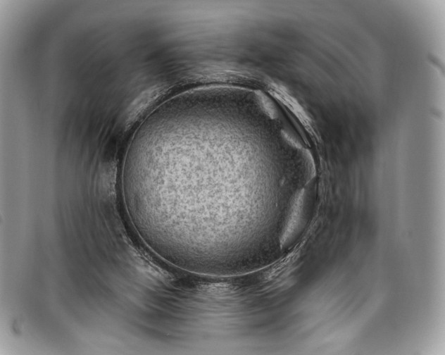 X0000098030058200804071426