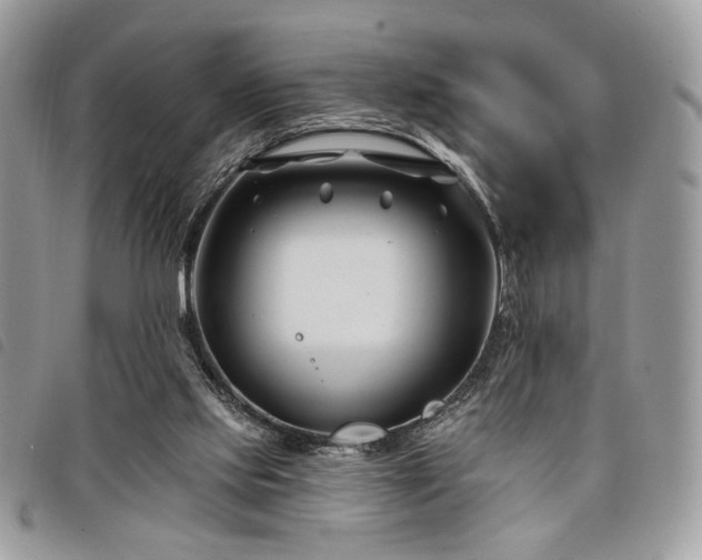 X0000098030061200804071426