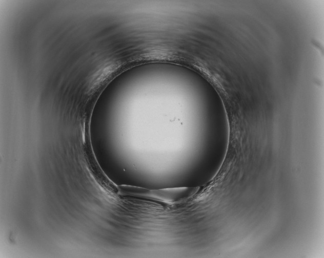 X0000098030062200804071426