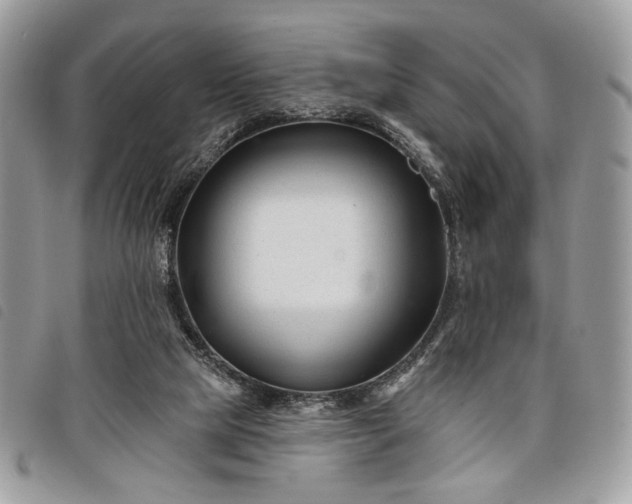 X0000098030065200804071426