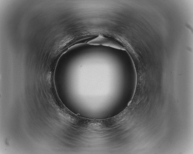 X0000098030066200804071426