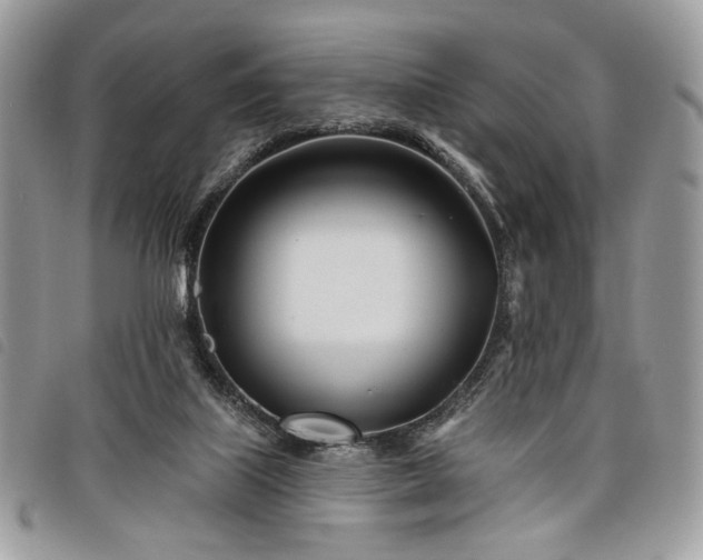 X0000098030067200804071426