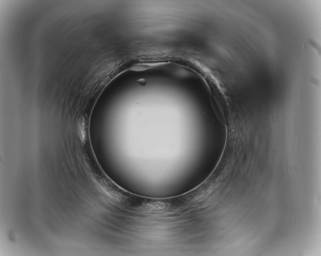 X0000098030069200804071426