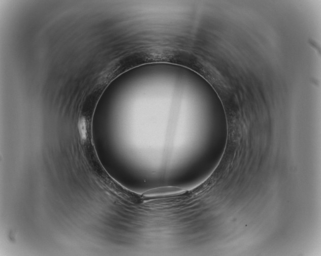 X0000098030075200804071426