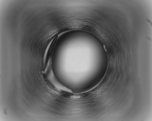 X0000098030076200804071426