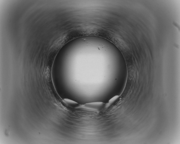 X0000098030077200804071426