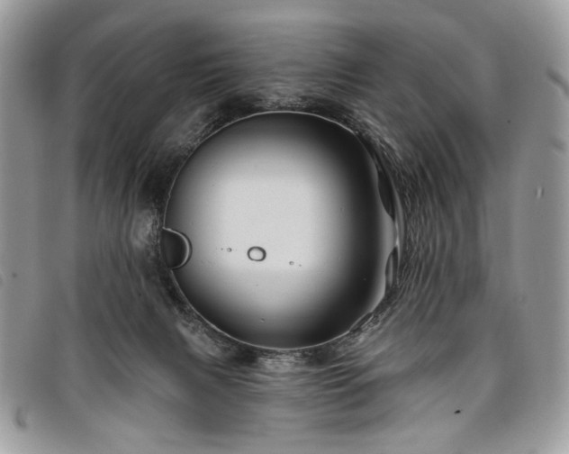 X0000098030079200804071426