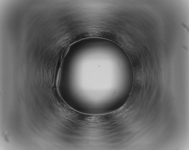 X0000098030082200804071426