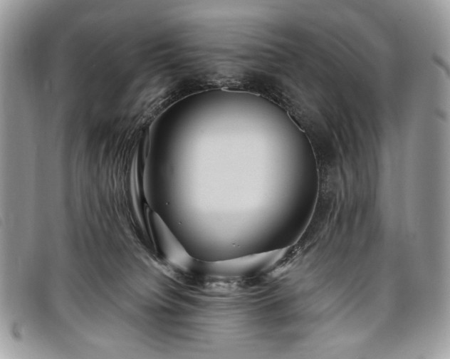 X0000098030084200804071426