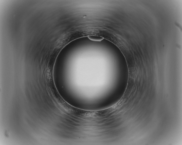 X0000098030086200804071426