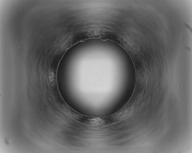 X0000098030087200804071426