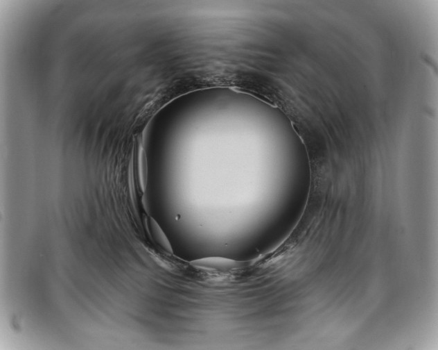 X0000098030088200804071426