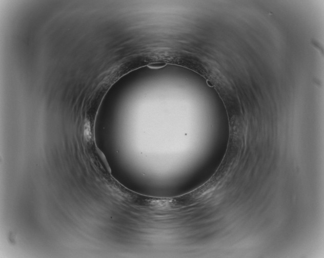 X0000098030089200804071426