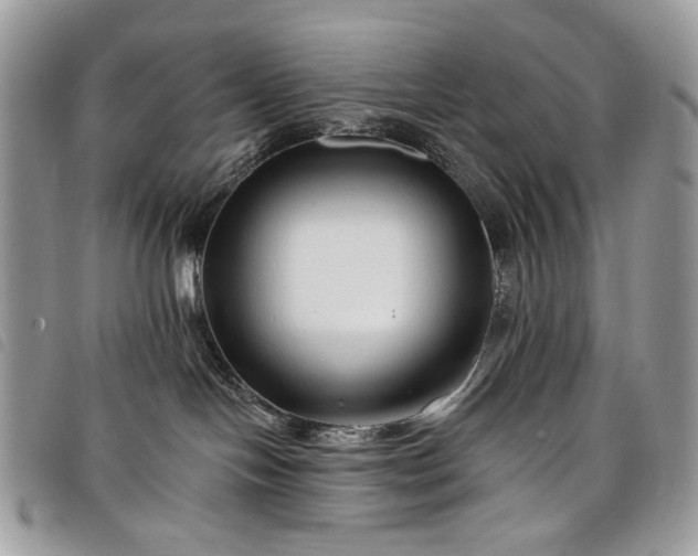 X0000098030094200804071426