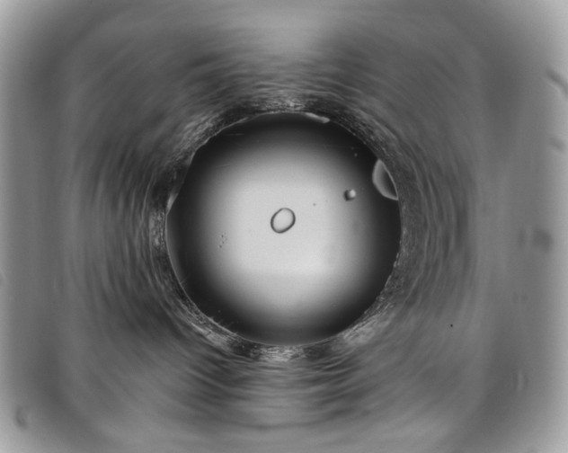 X0000098030096200804071427