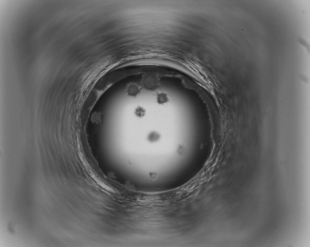 X0000098030097200804071426