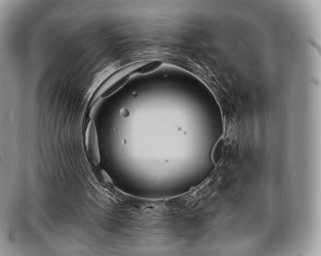 X0000098030099200804071426