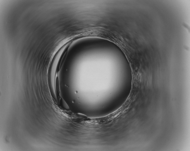 X0000098030100200804071426