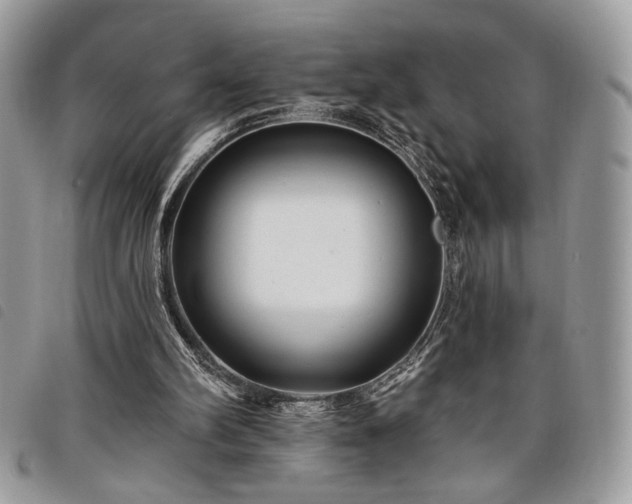 X0000098030102200804071426