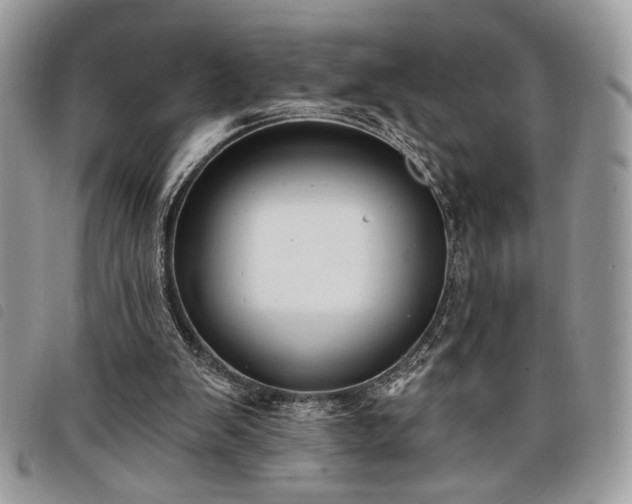 X0000098030103200804071426