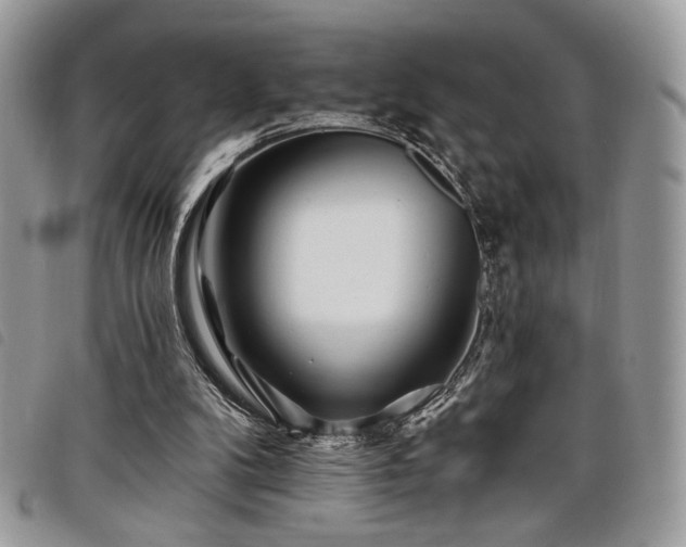 X0000098030104200804071426