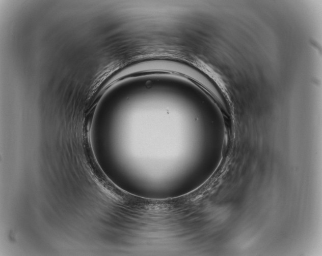 X0000098030105200804071425