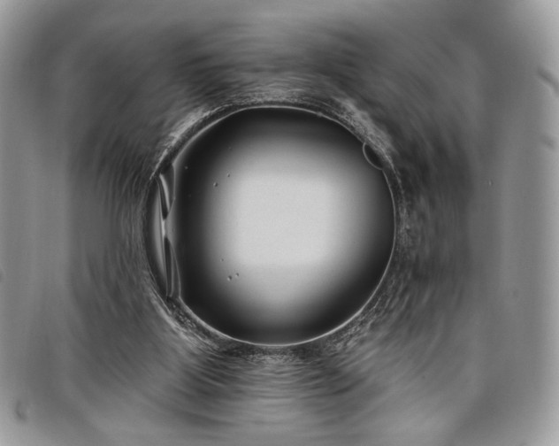 X0000098030107200804071425