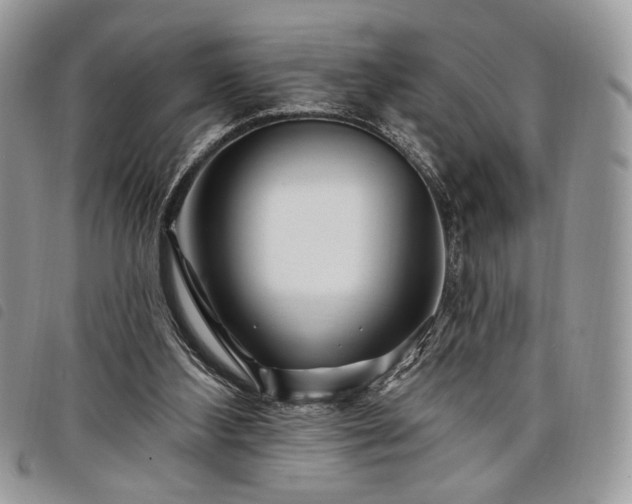 X0000098030108200804071425